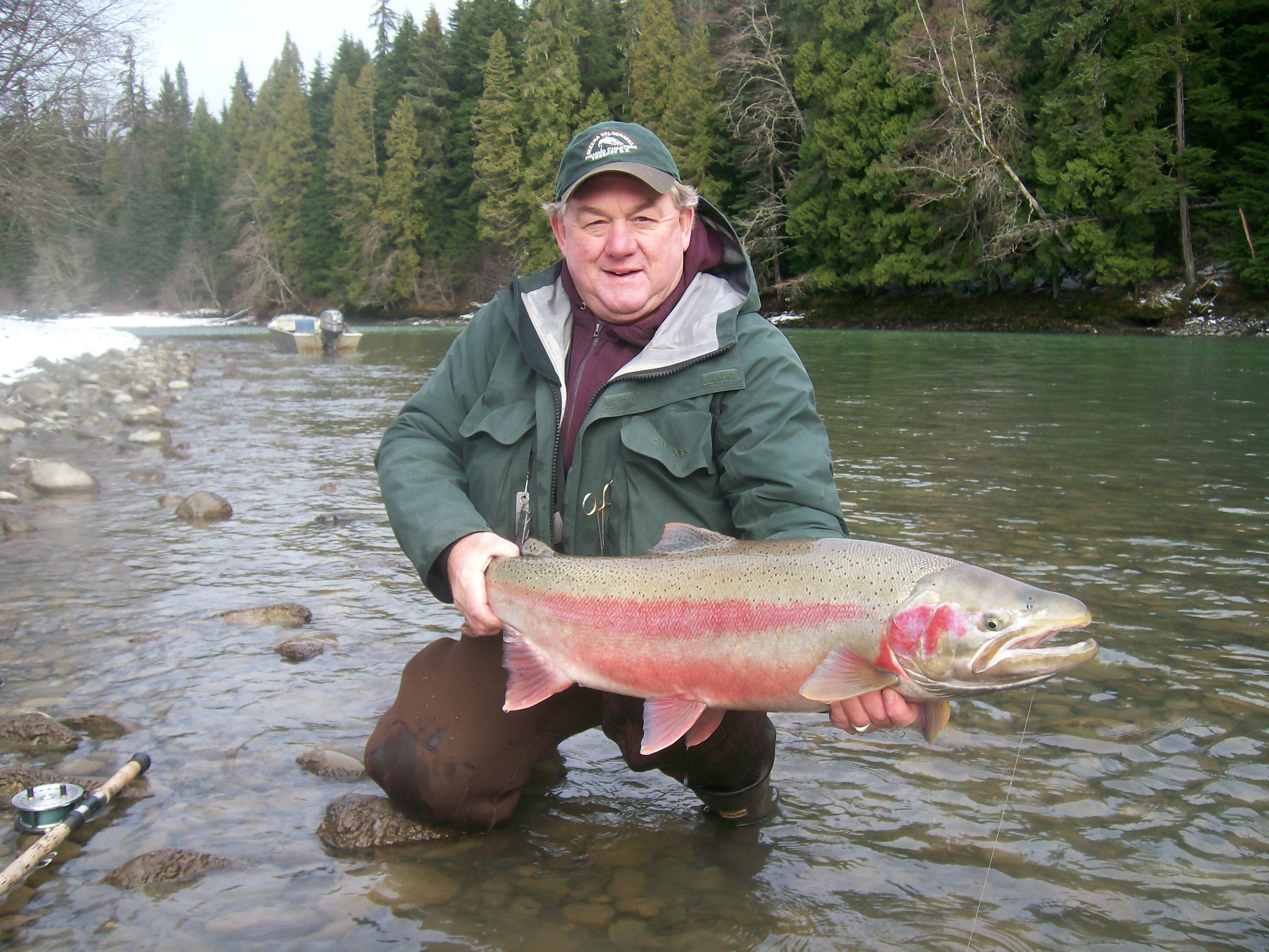 Large British Columbia steelhead held riverside after a guided fishing trip