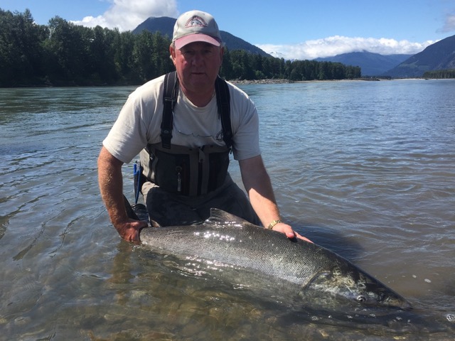 King Salmon