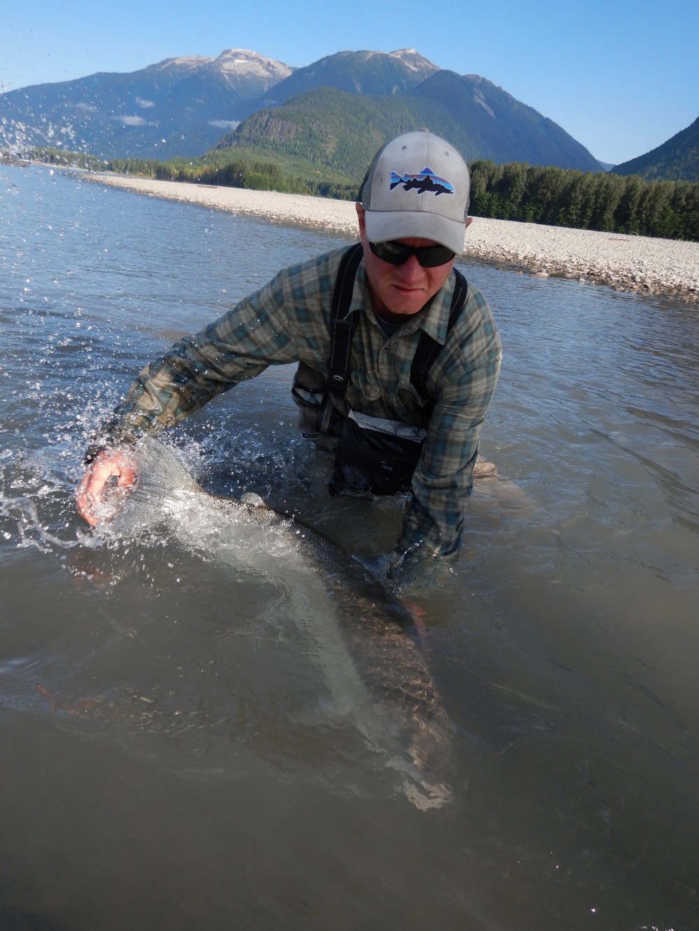 Skeena Wilderness Fishing Charters And Lodge