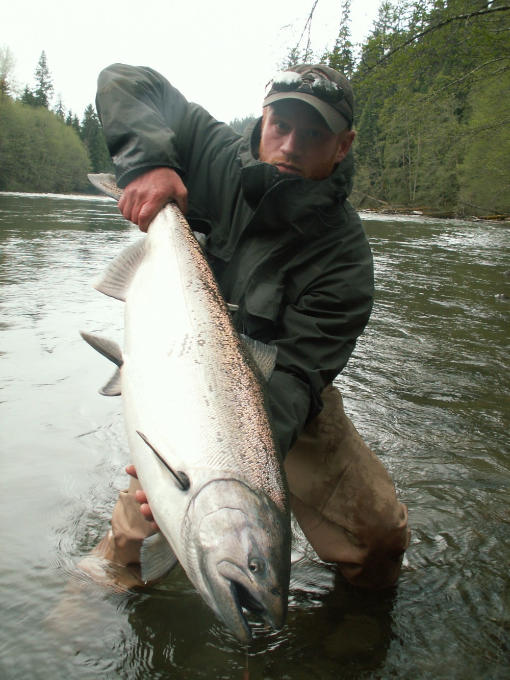 Skeena Wilderness Fishing Charters And Lodge